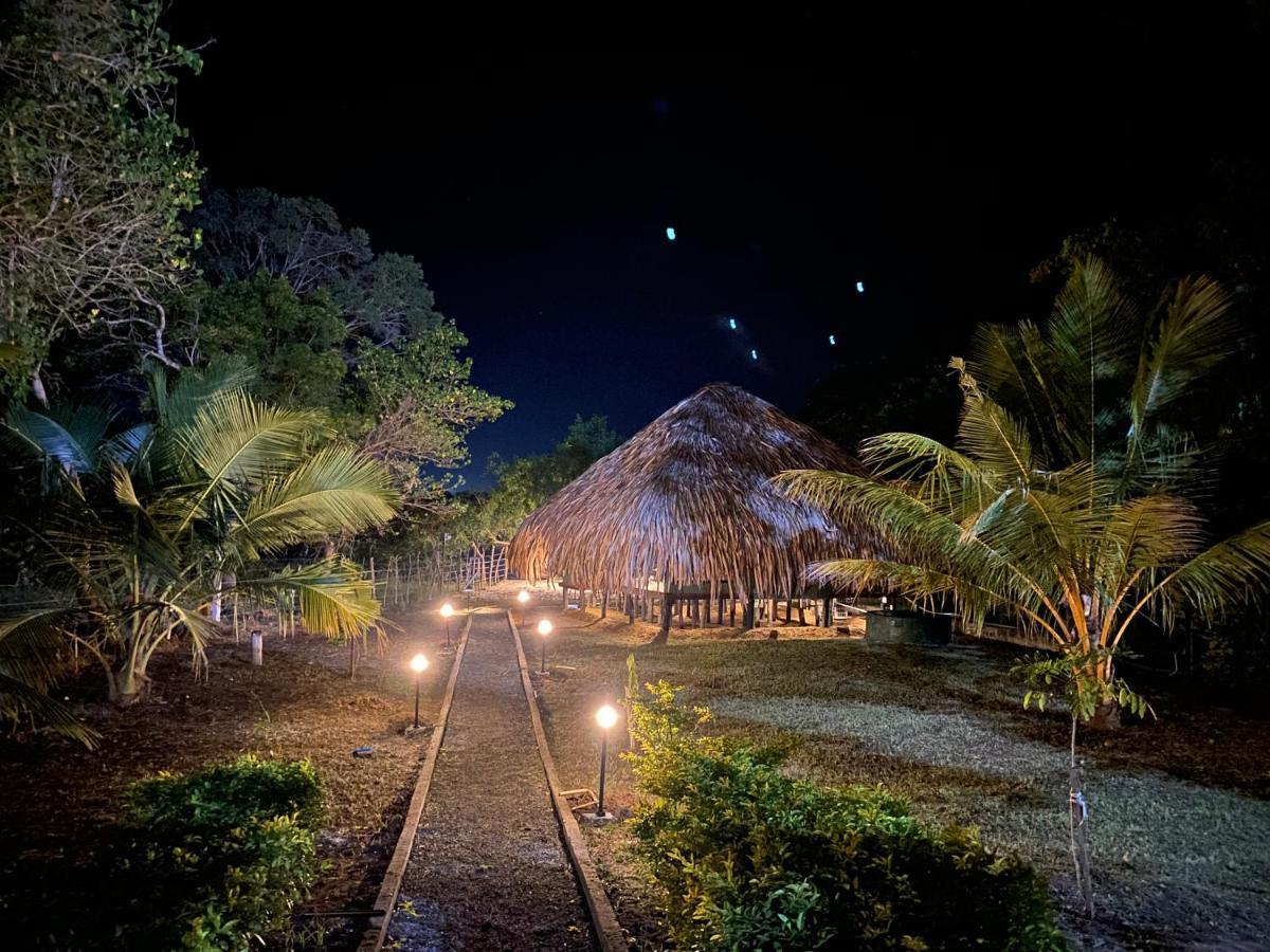 Yala View Luxury tent