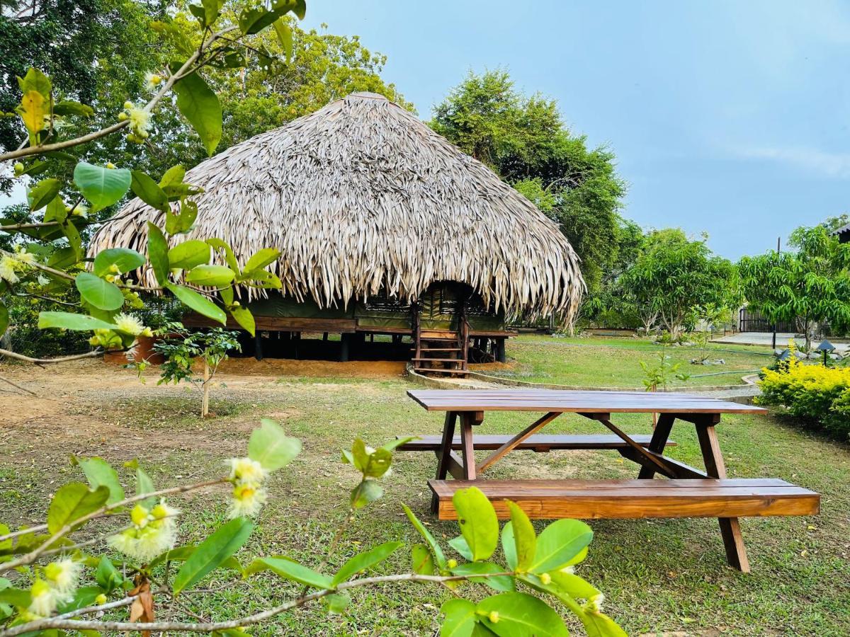 Yala View Luxury tent 3*